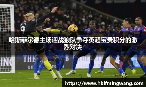 意甲直播意甲直播哈斯菲尔德主场迎战狼队争夺英超宝贵积分的激烈对决